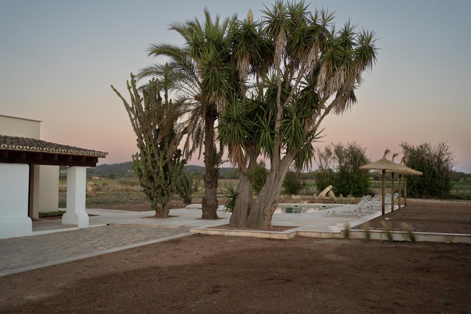 Vino Resort Son Amaret Son Macia  Extérieur photo